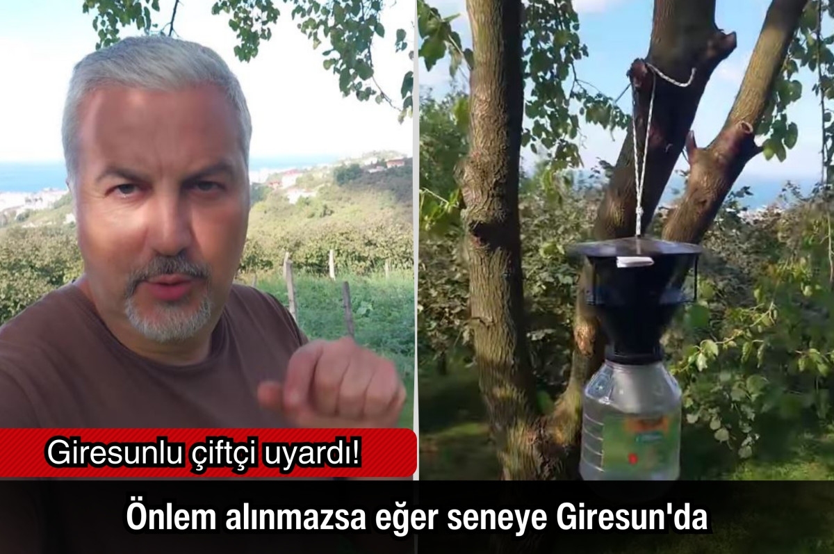 Giresunlu çiftçi uyardı: Önlem alınmazsa eğer seneye Giresun'da