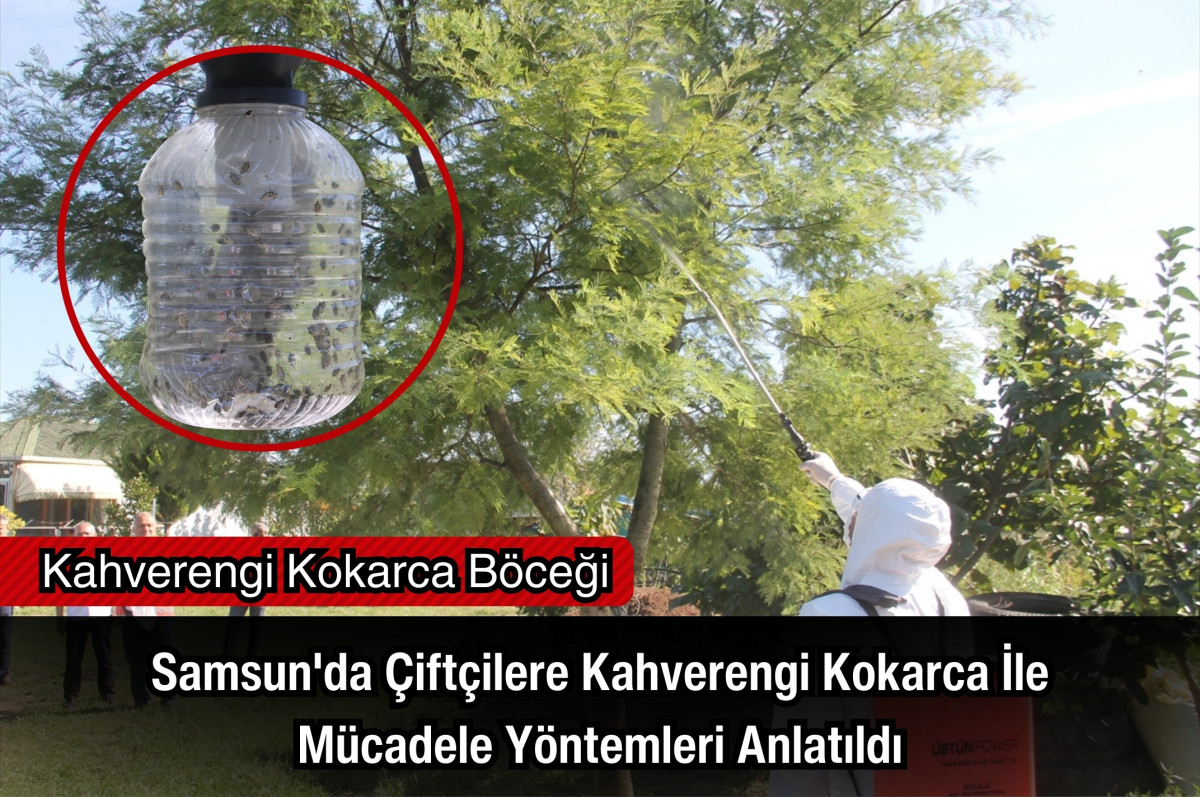 Samsun'da Çiftçilere Kahverengi Kokarca İle Mücadele Yöntemleri Anlatıldı